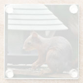 Dessous-de-verre En Verre Écureuil à l'éleveur d'oiseaux (Dos)