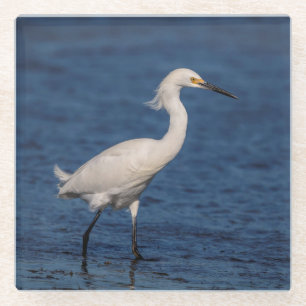 Dessous-de-verre En Verre Egret neigeux sur North Beach
