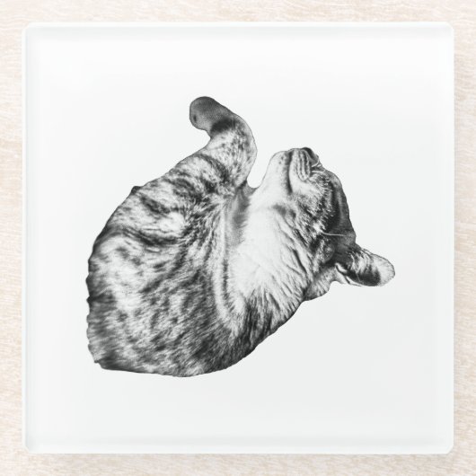Dessous-de-verre En Verre Ember-Step Purr (Devant)