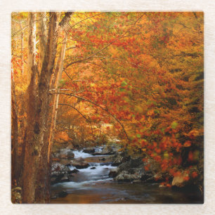 Dessous-de-verre En Verre États-Unis, Tennessee. Rushing Mountain Creek 2