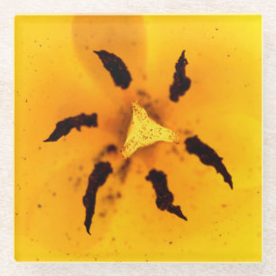 Dessous-de-verre En Verre Étiquetage et pollen des tulipes