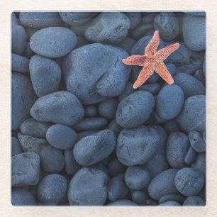 Dessous-de-verre En Verre Étoiles de mer sur les roches noires le long de la