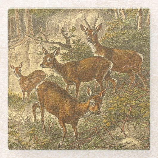 Dessous-de-verre En Verre Famille de Roe - Cerfs dans une forêt (Devant)