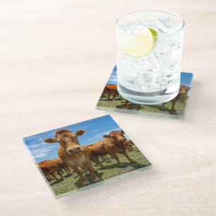 Dessous-de-verre En Verre Farms Brown cow