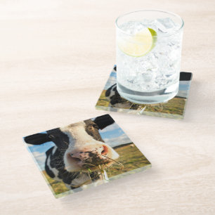 Dessous-de-verre En Verre Farms   Holstein Cow Chewing