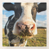 Dessous-de-verre En Verre Farms | Holstein Cow Chewing (Devant)