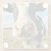 Dessous-de-verre En Verre Farms | Holstein Cow Chewing (Dos)