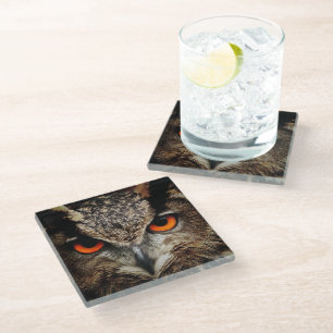 Dessous-de-verre En Verre Fermer le hibou avec les yeux orange