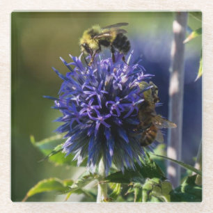 Dessous-de-verre En Verre Fermer une abeille sur une fleur violette/bleue
