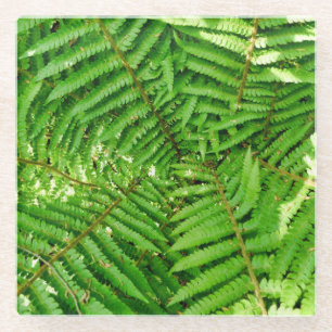 Dessous-de-verre En Verre Fermes des bois