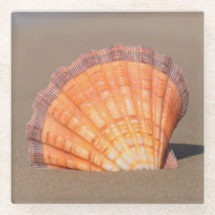 Dessous-de-verre En Verre Feston Shell Crète, Grèce