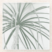 Dessous-de-verre En Verre Feuillage de palmier de Ponytail sur blanc (Devant)