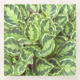 Dessous-de-verre En Verre Feuilles verts