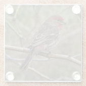 Dessous-de-verre En Verre Finch pourpre (Dos)