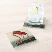 Dessous-de-verre En Verre Flamant rose américain d'Audubon (Incliné)