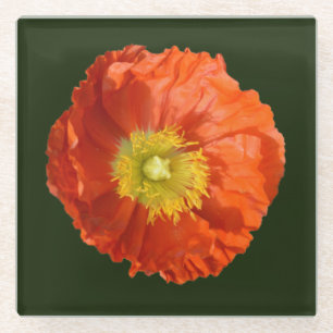 Dessous-de-verre En Verre Fleur de cépages orange vif