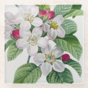 Dessous-de-verre En Verre Fleur, de 'DES de Les Choix plus des belles