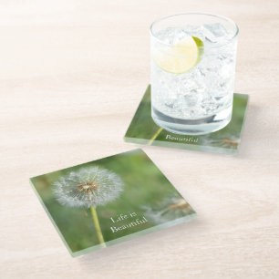 Dessous-de-verre En Verre Fleur de Pissenlit (photo par moi)