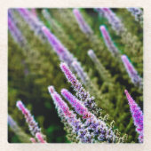 Dessous-de-verre En Verre Fleur sauvage pourpre et vert (Devant)