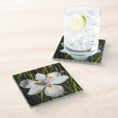 Dessous-de-verre En Verre Fleur tropicale blanche (Incliné)