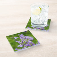 Fleurs bleues délicates sur un champ vert au print