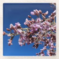 Fleurs de bois de fer, fleurs violettes
