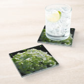 Dessous-de-verre En Verre Fleurs d'hydrangées vertes (Incliné)