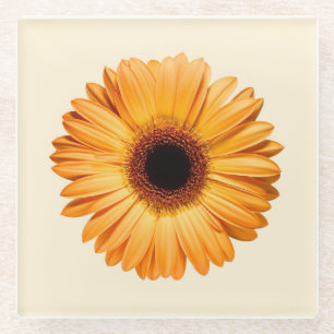 Dessous-de-verre En Verre Fleurs Orange Gerbera