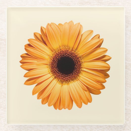 Dessous-de-verre En Verre Fleurs | Orange Gerbera (Devant)