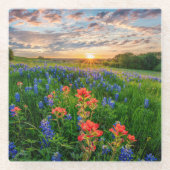 Dessous-de-verre En Verre Fleurs | Texas Bluebonnets & Indian Paintbrush (Devant)