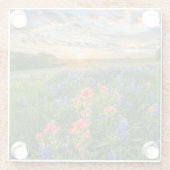Dessous-de-verre En Verre Fleurs | Texas Bluebonnets & Indian Paintbrush (Dos)