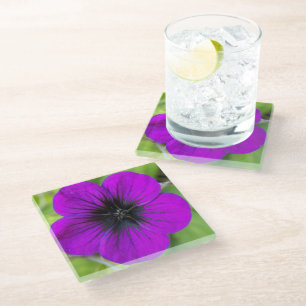 Dessous-de-verre En Verre Floral de Cranesbill pourpre Geranium