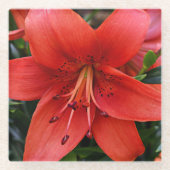 Dessous-de-verre En Verre Floral Orange Lily (Devant)