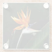 Dessous-de-verre En Verre Flower tropical orange paradise (Dos)