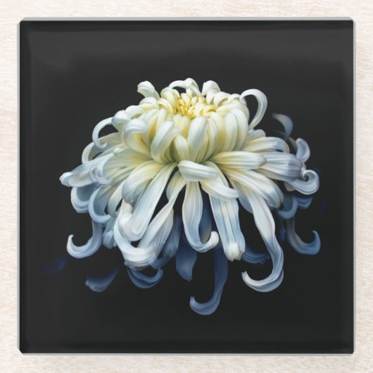 Dessous-de-verre En Verre Flowers | White Chrysanthemum (Devant)
