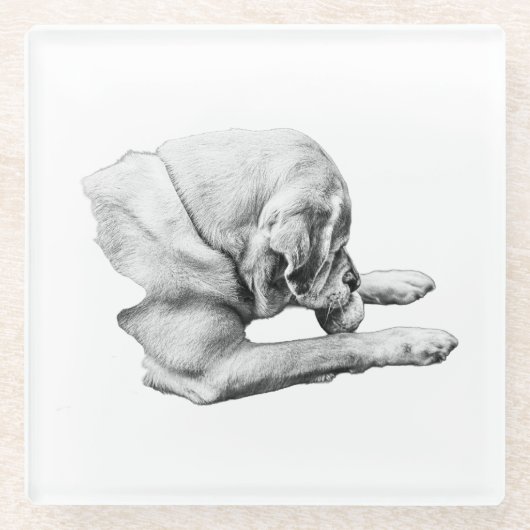 Dessous-de-verre En Verre Focus sur le jeu (Devant)