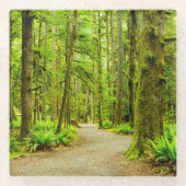 Dessous-de-verre En Verre Forest | Parc national olympic (Devant)