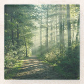 Dessous-de-verre En Verre Forests | Forest Path Hamburg Germany (Devant)