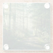 Dessous-de-verre En Verre Forests | Forest Path Hamburg Germany (Dos)