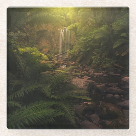 Dessous-de-verre En Verre Forests | Sunlight Highlights Waterfall (Devant)