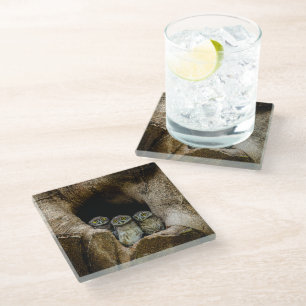 Dessous-de-verre En Verre Forests Three Owls Looking