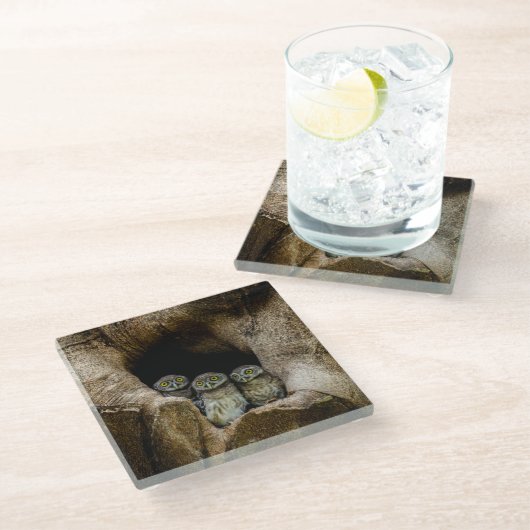 Dessous-de-verre En Verre Forests | Three Owls Looking (Incliné)