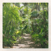 Dessous-de-verre En Verre Forests | Tropical Rainforest Tulum Mexico (Devant)