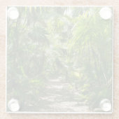 Dessous-de-verre En Verre Forests | Tropical Rainforest Tulum Mexico (Dos)