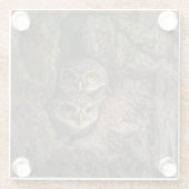 Dessous-de-verre En Verre Forests | Two Owls Looking (Dos)