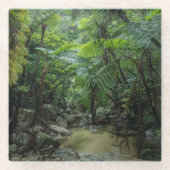 Dessous-de-verre En Verre Forêt | Parc national Iriomote Ishigaki (Devant)