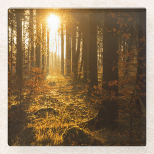 Dessous-de-verre En Verre Forêt pendant l'automne   Baden Württemberg,