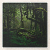Dessous-de-verre En Verre Forêt | Routeburn Track Fiordland National Park (Devant)