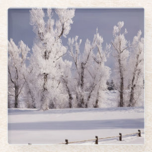 Dessous-de-verre En Verre Frost a couvert les arbres et la barrière, le