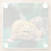 Dessous-de-verre En Verre Funny Leopard Gecko sourit pour les Paparazzi (Dos)